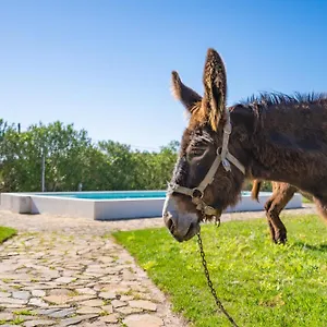 Burro By Host Wise Portimão
